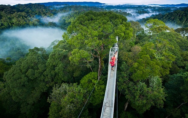 Gợi ý những điểm tham quan hàng đầu dành cho bạn khi đi du lịch Brunei